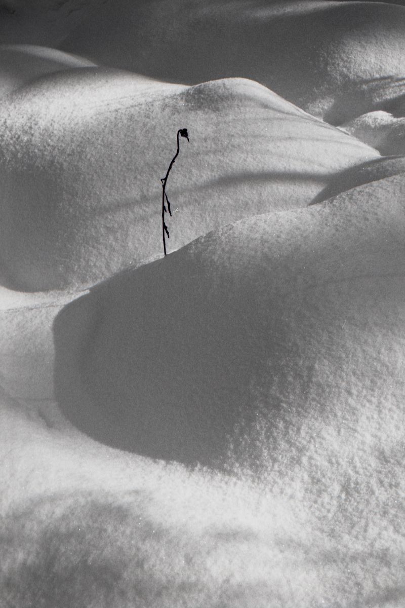© Thomas Gauthier - Image from the Kootenays photography project