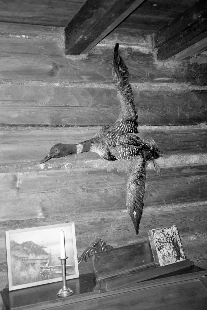 © Thomas Gauthier - Image from the Kootenays photography project