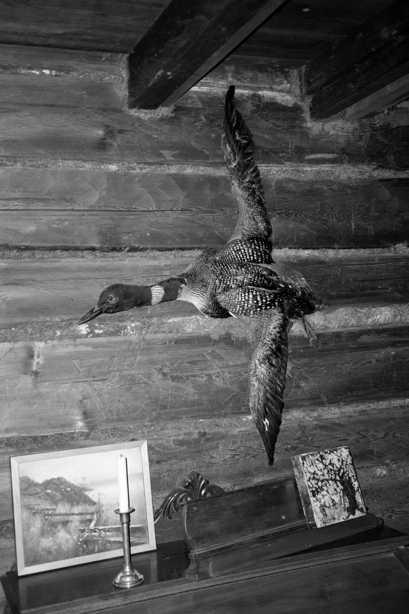 © Thomas Gauthier - Image from the Kootenays photography project