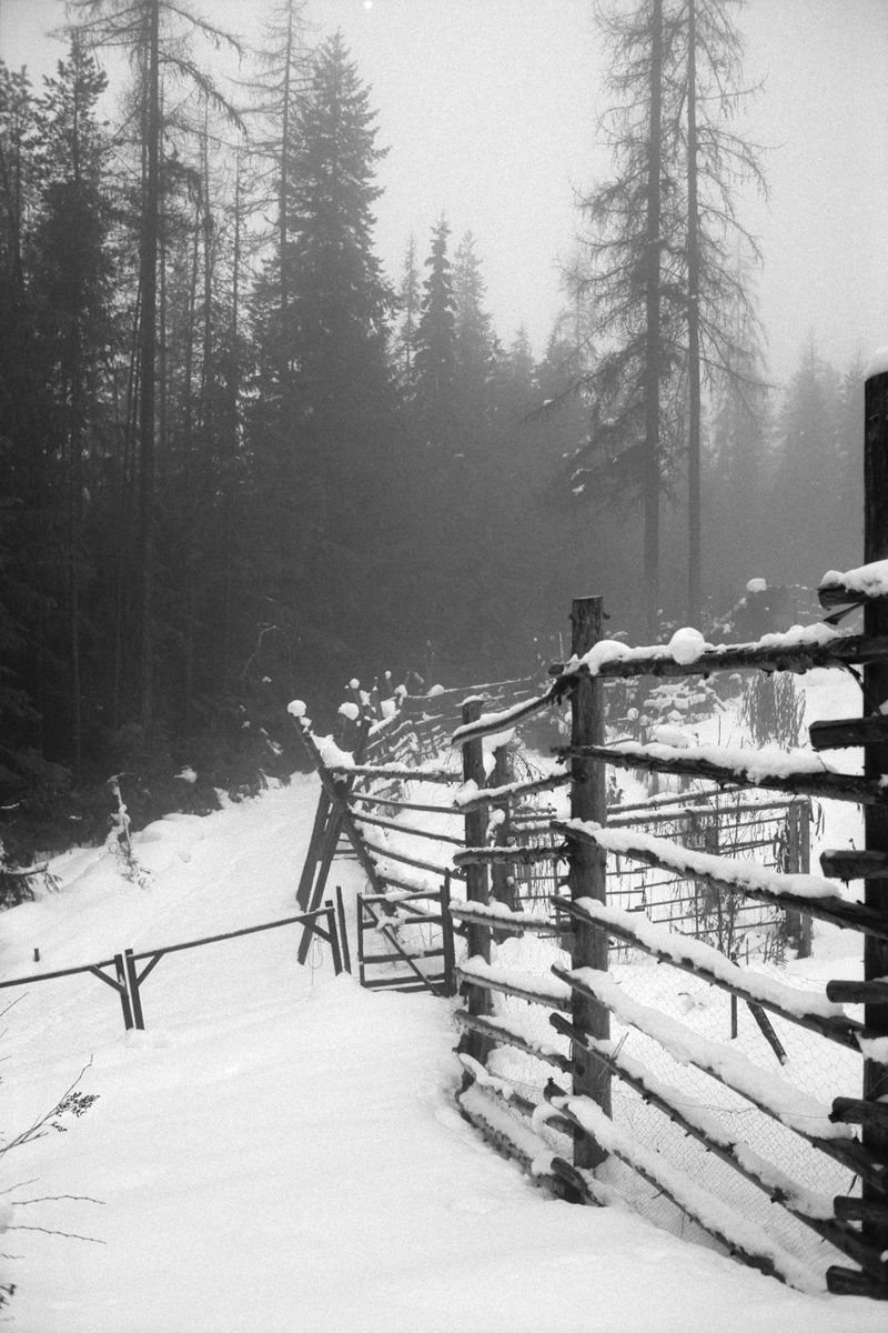 © Thomas Gauthier - Image from the Kootenays photography project