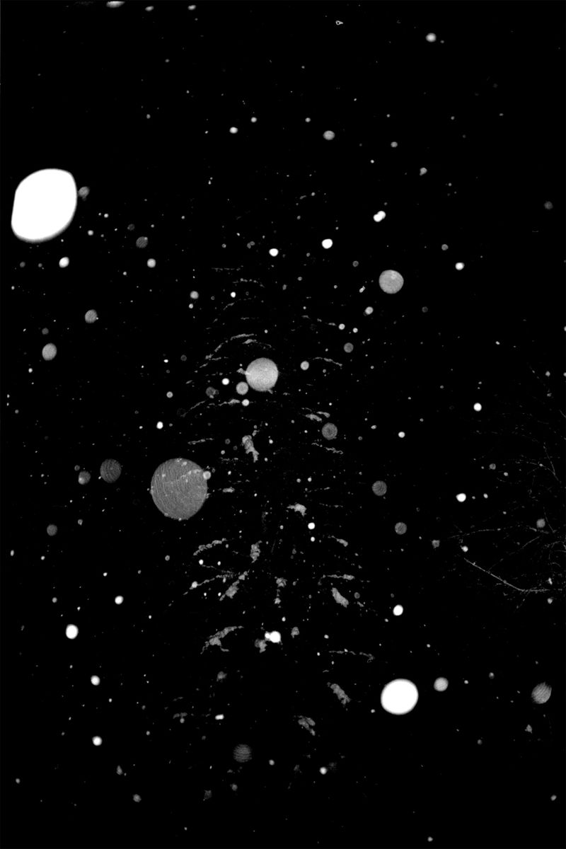 © Thomas Gauthier - Image from the Kootenays photography project