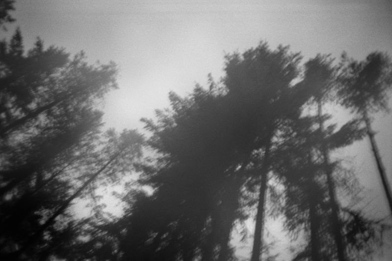 © Thomas Gauthier - Image from the Kootenays photography project