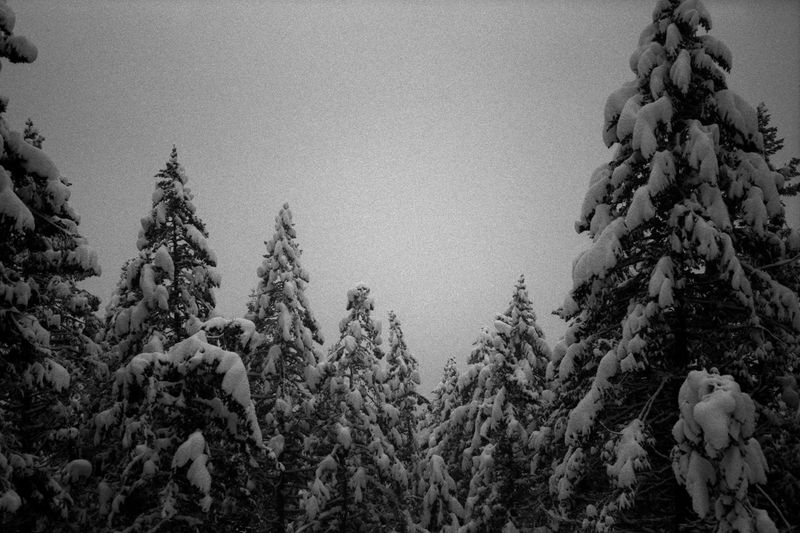 © Thomas Gauthier - Image from the Kootenays photography project