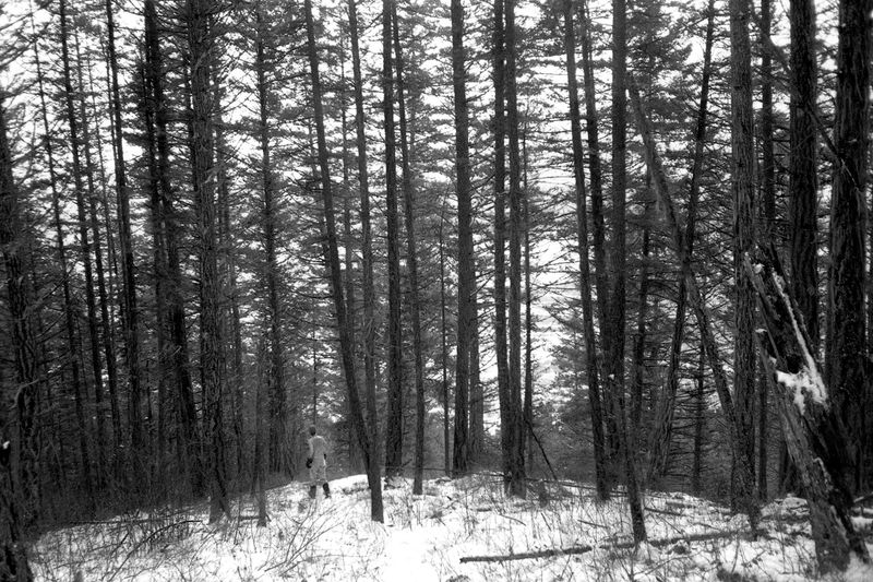 © Thomas Gauthier - Image from the Kootenays photography project