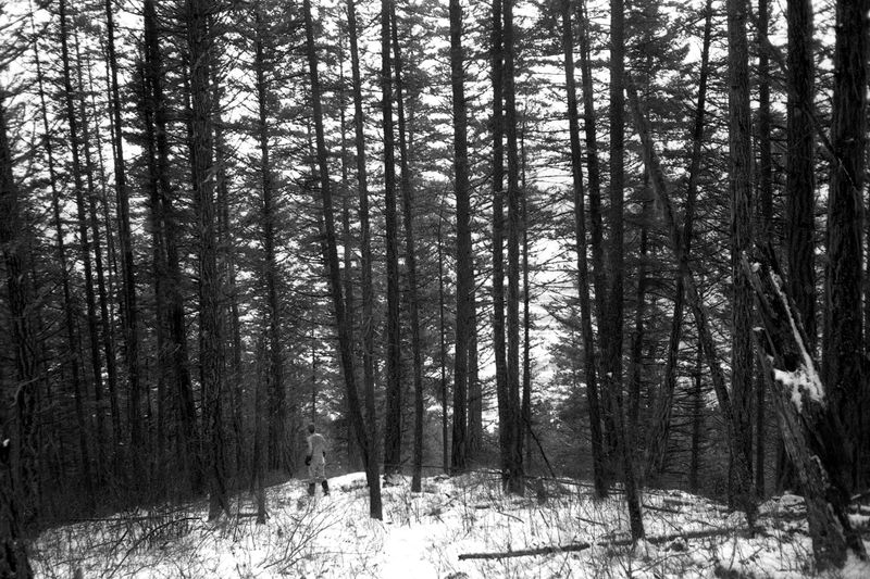 © Thomas Gauthier - Image from the Kootenays photography project