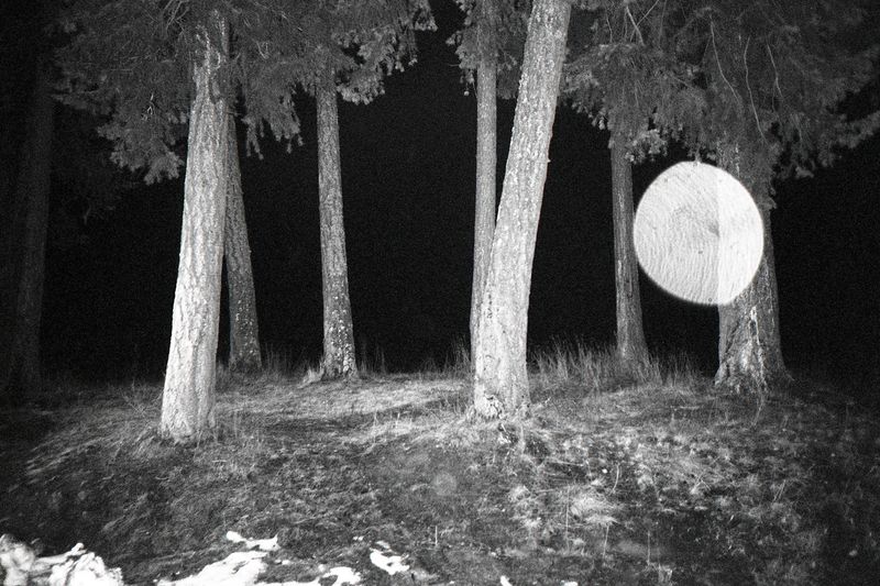 © Thomas Gauthier - Image from the Kootenays photography project