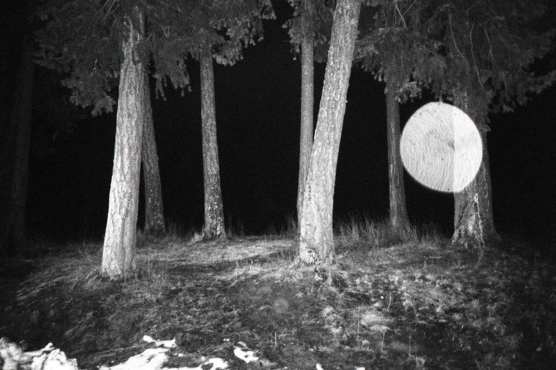 © Thomas Gauthier - Image from the Kootenays photography project