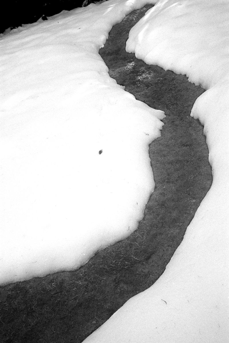 © Thomas Gauthier - Image from the Kootenays photography project