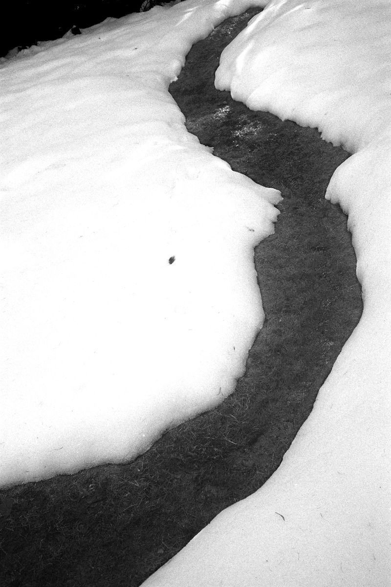 © Thomas Gauthier - Image from the Kootenays photography project