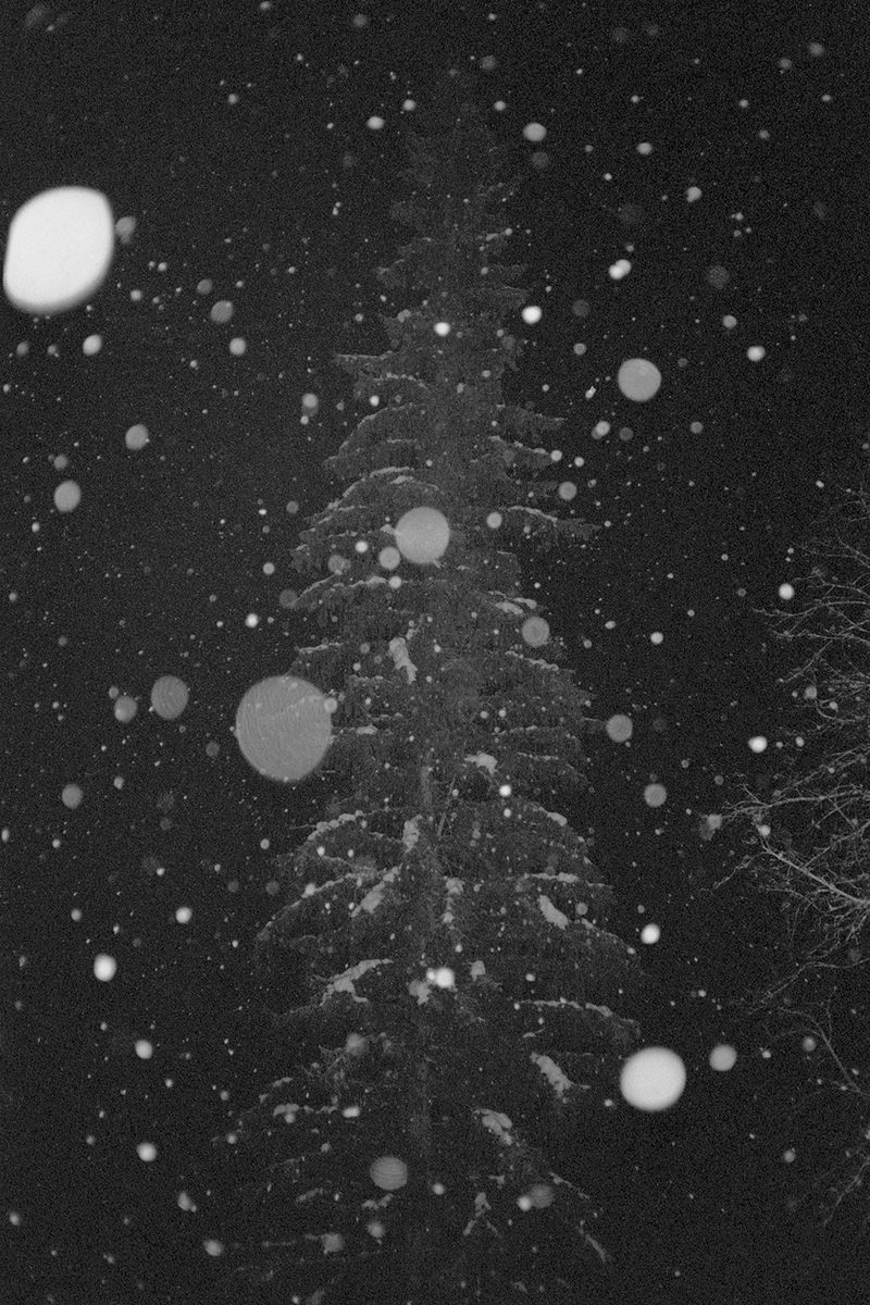 © Thomas Gauthier - Image from the Kootenays photography project