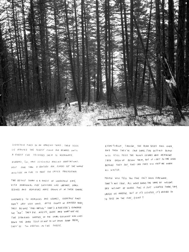 © Thomas Gauthier - Image from the Kootenays photography project