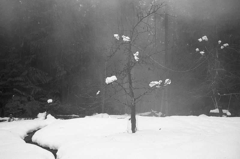 © Thomas Gauthier - Image from the Kootenays photography project