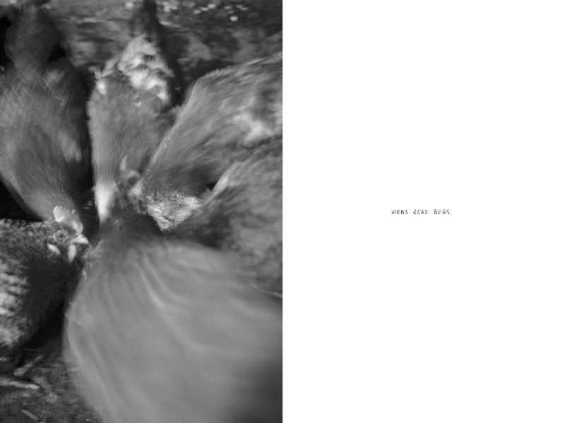 © Thomas Gauthier - Image from the Kootenays photography project