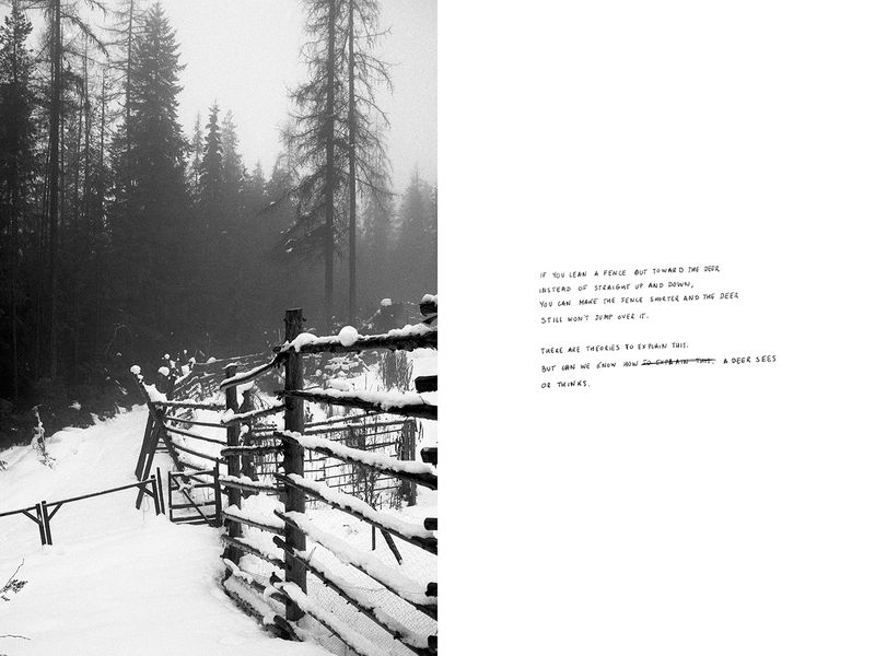 © Thomas Gauthier - Image from the Kootenays photography project