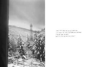 Kootenays