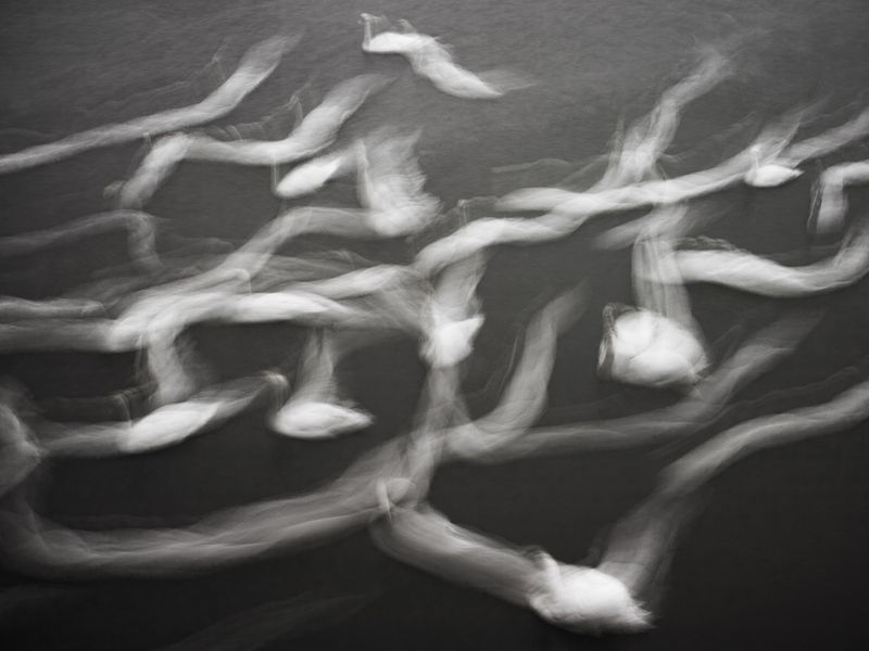 © Tomasz Liboska - Brynica River, historical border of Upper Silesia region.