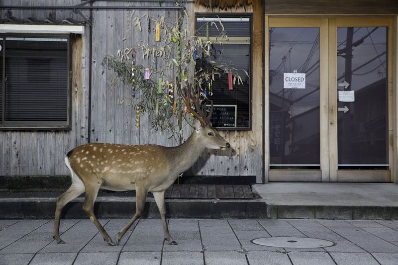 © Yoko Ishii - Image from the Beyond the Border photography project