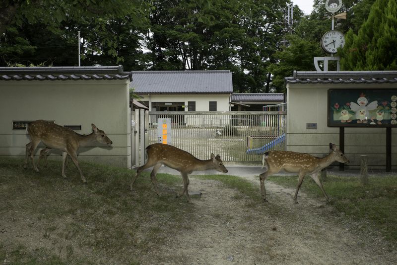© Yoko Ishii - Image from the Beyond the Border photography project