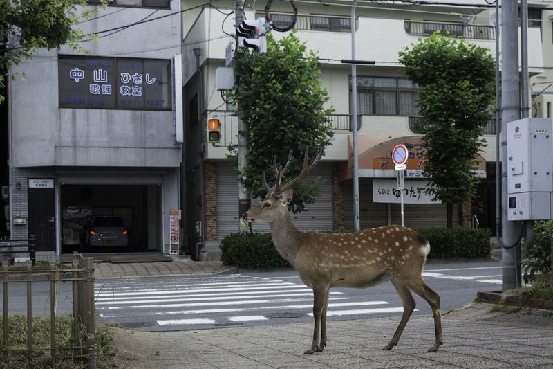 © Yoko Ishii - Image from the Beyond the Border photography project