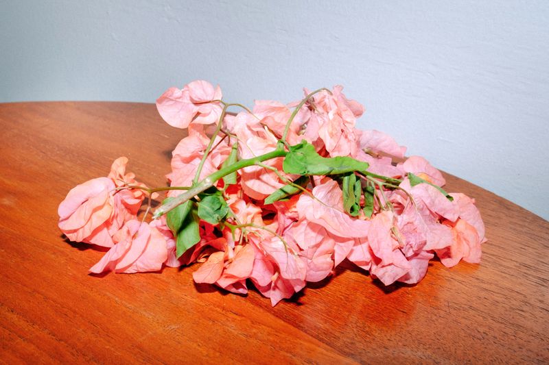 © Mochammad Yusni Aziz - 9. Whittered flowers