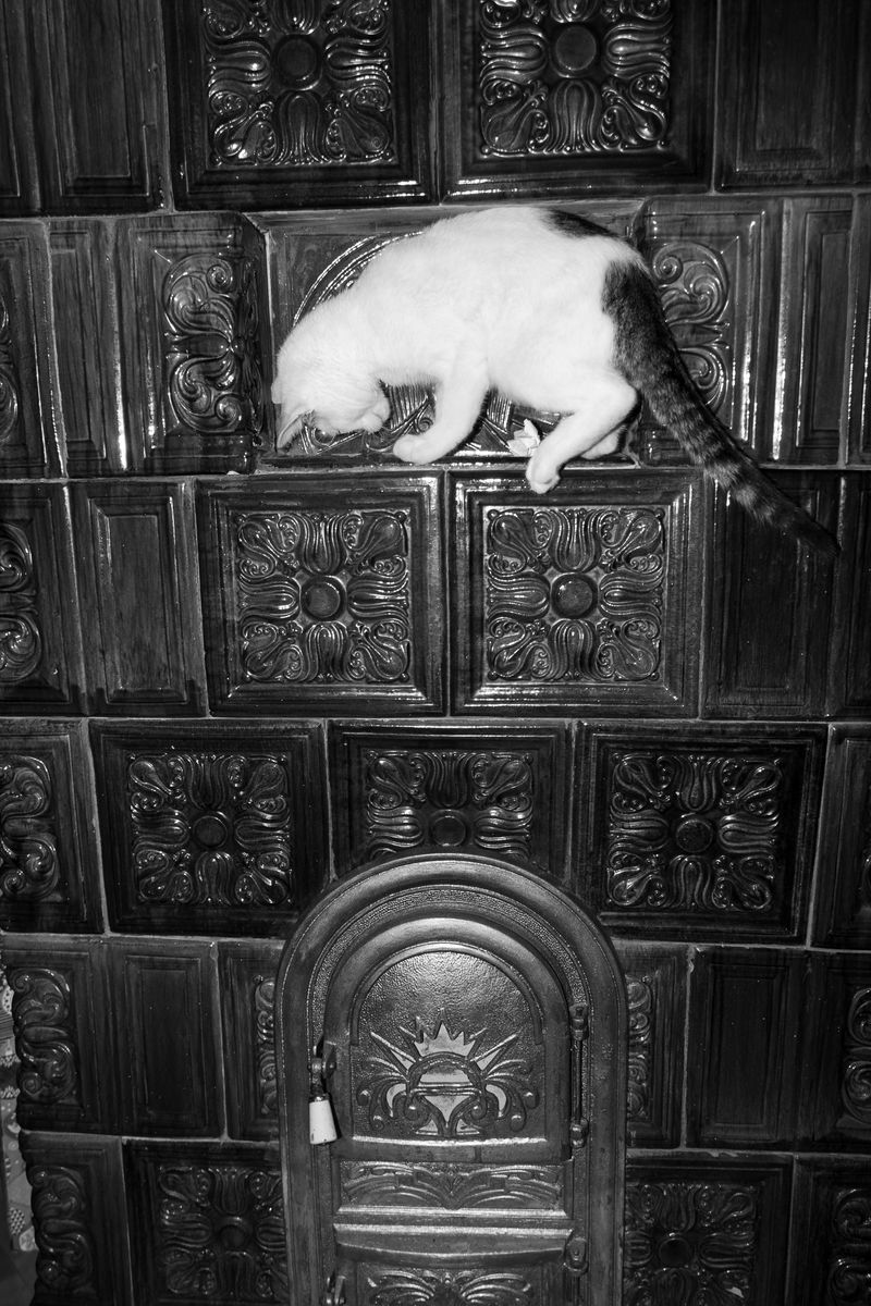 © Kincső Bede - Untitled XII, Three Colours I Know in This World