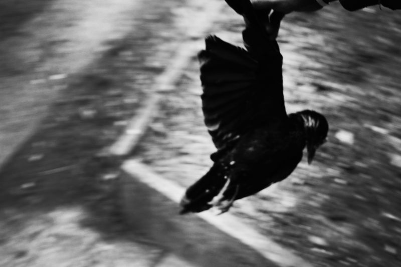 © Martyna Bec - Image from the Nobody photography project