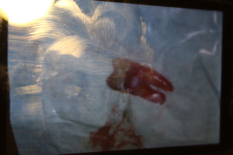 © Martyna Bec - Image from the Portside photography project