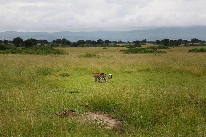 © Martyna Bec - Image from the Kikoola photography project