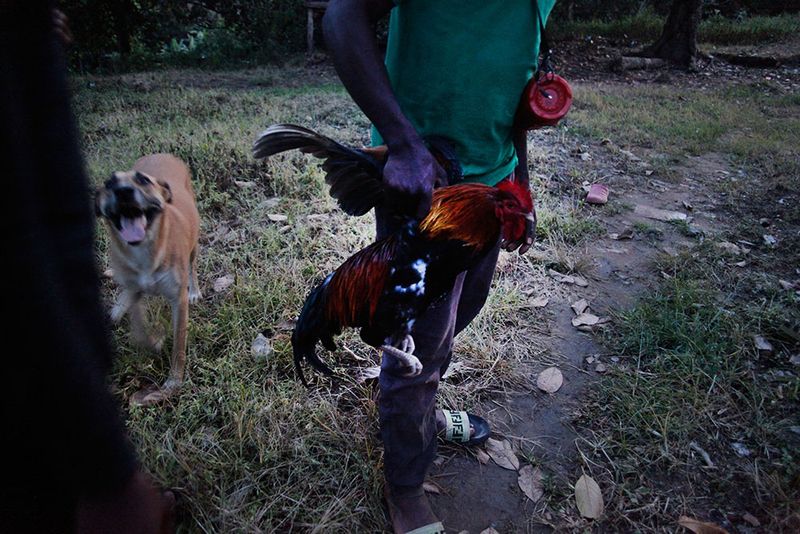 © Martyna Bec - Image from the Kikoola photography project