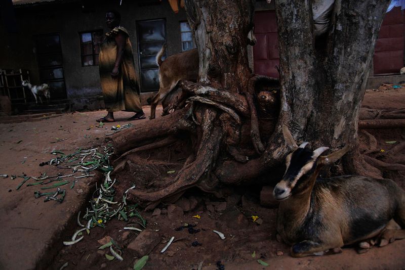 © Martyna Bec - Image from the Kikoola photography project