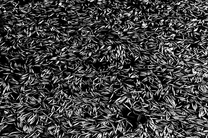 © Vitaliy Gerasymenko - Image from the The Black Pearl of Beijing photography project