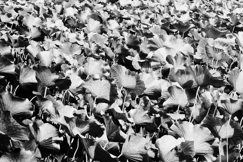 © Vitaliy Gerasymenko - Image from the The Black Pearl of Beijing photography project