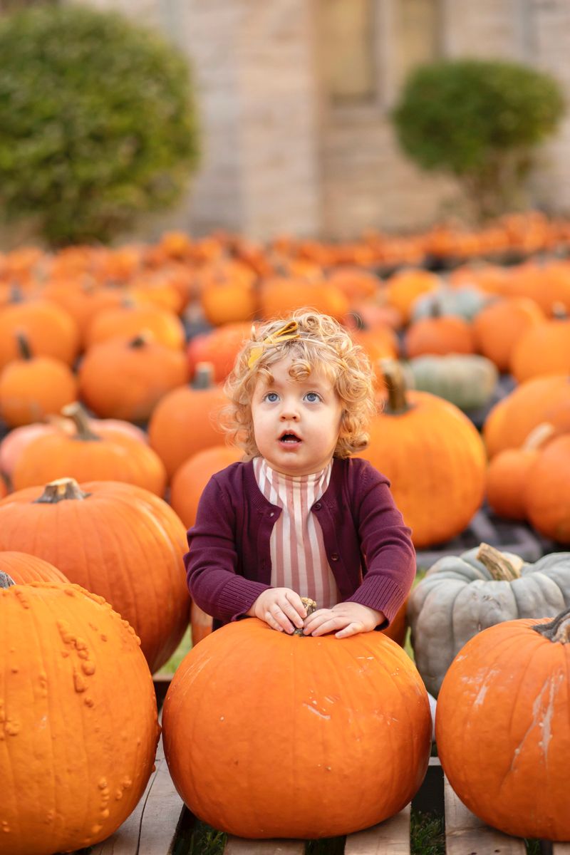 © Crystal St. Clair - Pumpkin’