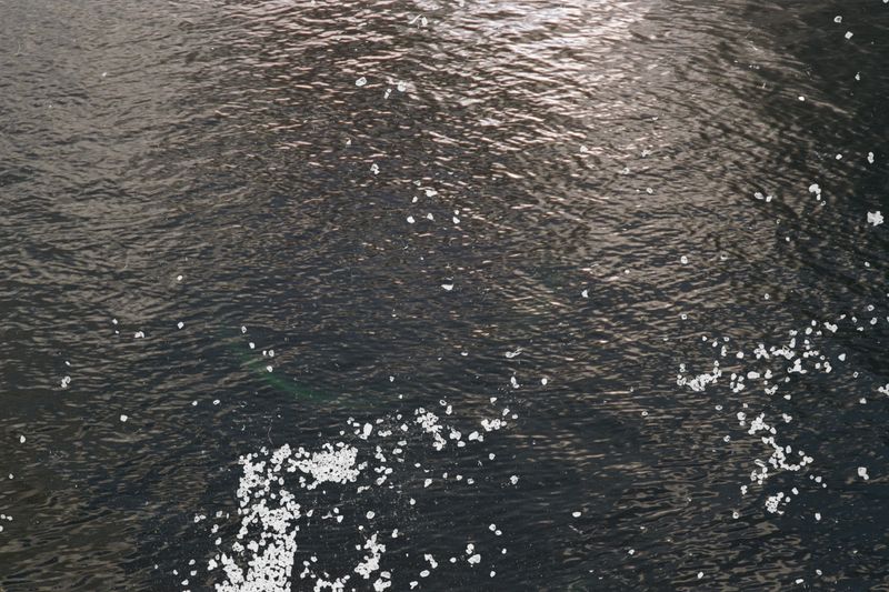 © Belinda Van Zanen - 4Mar26 5:38pm SE13km/h Tide advancing 1m