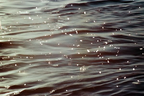 © Belinda Van Zanen - 3Mar26 6:10pm ESE13km/h Tide receding 1.3m