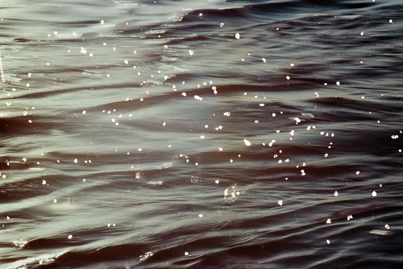 © Belinda Van Zanen - 3Mar26 6:10pm ESE13km/h Tide receding 1.3m
