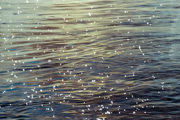 © Belinda Van Zanen - 2Mar26 4:45pm ENE16.7km/h Tide receding 1.1m