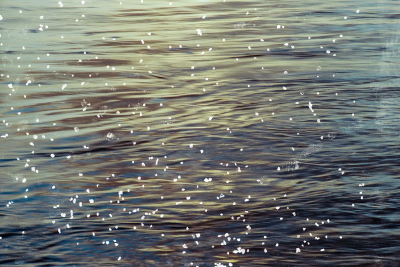 © Belinda Van Zanen - 2Mar26 4:45pm ENE16.7km/h Tide receding 1.1m