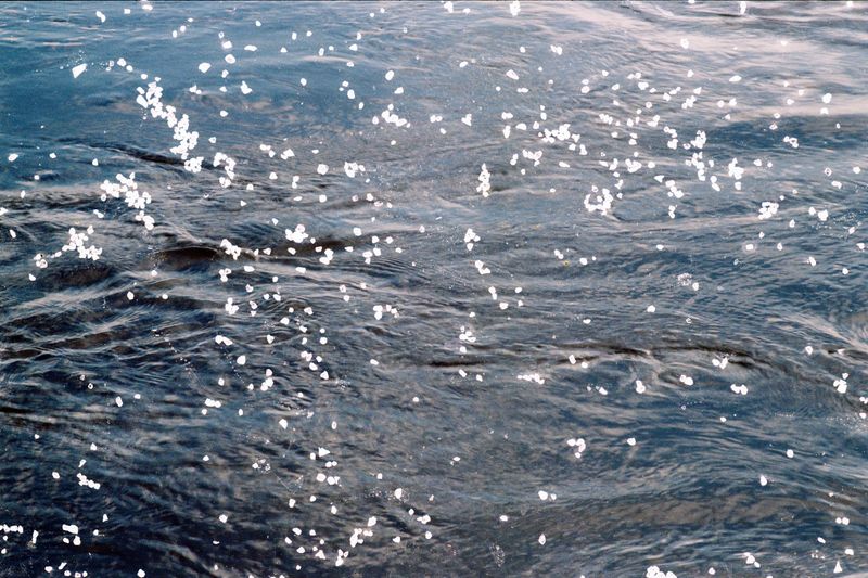 © Belinda Van Zanen - 1Mar26 4:42pm SE31.3km/h Tide receding 1.3m