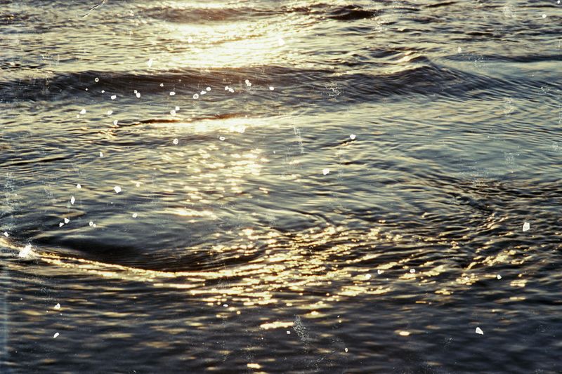 © Belinda Van Zanen - 12Mar26 5:35pm NE9.4km/h Tide receding 1.1m