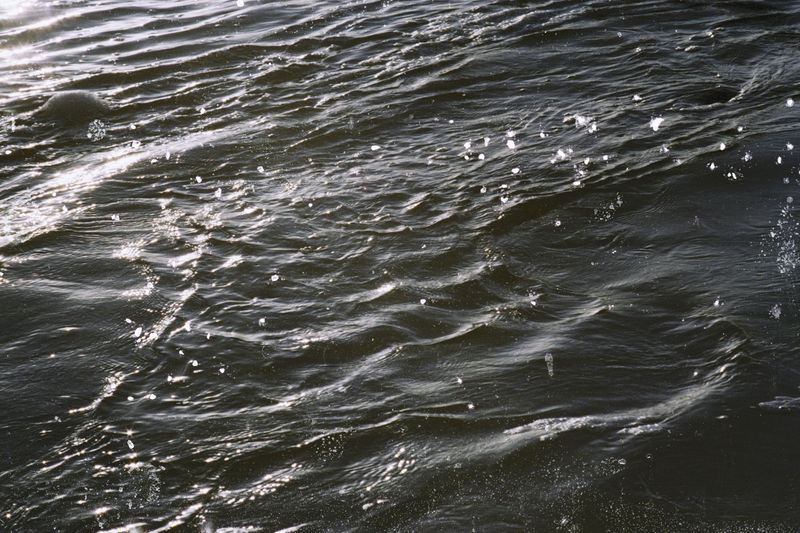 © Belinda Van Zanen - 7Mar26 4:30pm ESE9.3km/h Tide Low .6m