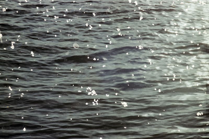 © Belinda Van Zanen - 14Mar26 4:56pm SE18.4km/h Tide advancing 1.4m