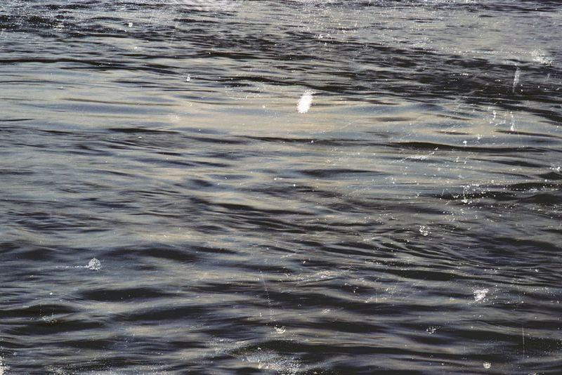 © Belinda Van Zanen - 5Mar26 5:09pm S9.3km/h Tide advancing .7m