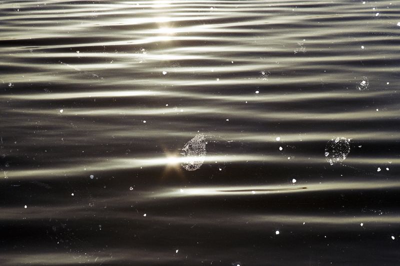 © Belinda Van Zanen - 15Mar26 5:08pm ESE13km/h Tide advancing 1.4m