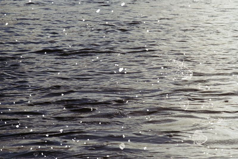 © Belinda Van Zanen - 6Mar26 6:20pm ESE20.4km/h Tide advancing 1m