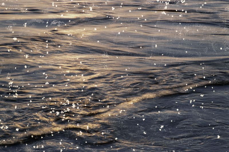 © Belinda Van Zanen - 10Mar26 5:42pm SE16.6km/h Tide receding .8m