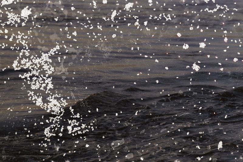 © Belinda Van Zanen - 8Mar26 5:40pm S24.1km/h Tide advancing .7m
