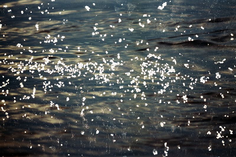 © Belinda Van Zanen - 13Mar26 5:55pm SE16.6km/h Tide receding 1.2m