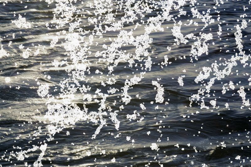 © Belinda Van Zanen - 9Mar26 5:10pm SSE16.6km/h Tide receding .7m
