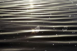 What the water gives/What the water holds